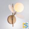 Бра Arte Lamp Peacock A1369AP-1SG