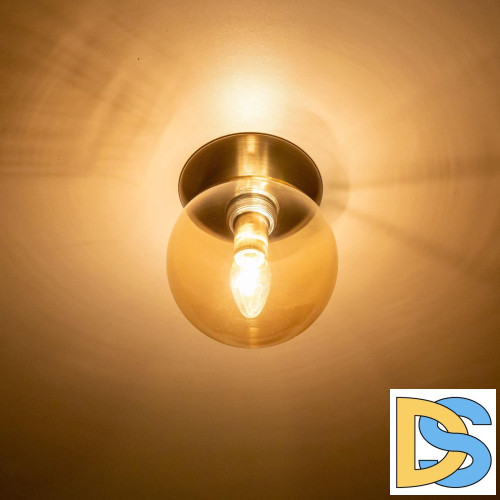 Потолочный светильник Citilux Томми CL102513