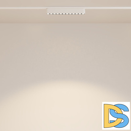 Трековый магнитный светильник Maytoni Points TR082-1-12W3K-M-W