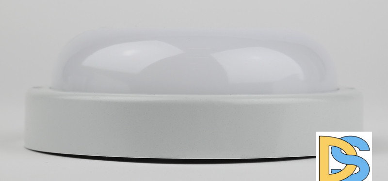 Настенно-потолочный светильник Эра SPB-201-0-65K-015 Б0047624