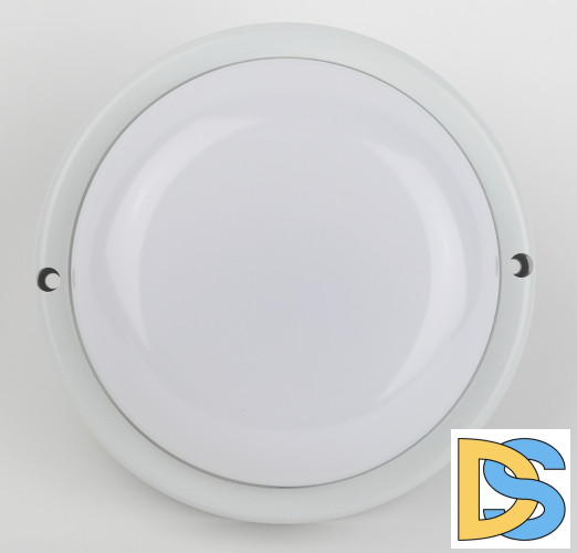 Настенно-потолочный светильник Эра SPB-201-0-65K-015 Б0047624