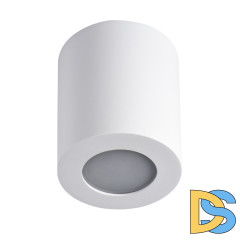 Накладной светильник Kanlux Sani IP44 DSO-W 29241