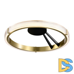 Потолочная люстра Lightstar Rotonda 736041