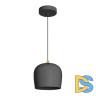 Подвесной светильник Arlight SP-PEONY-HANG-R250-15W Warm3000 (BK, 65 deg, 230V) 039550
