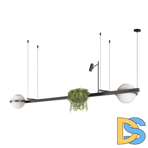 Подвесная люстра Loft IT Jardin 10121/C Dark grey