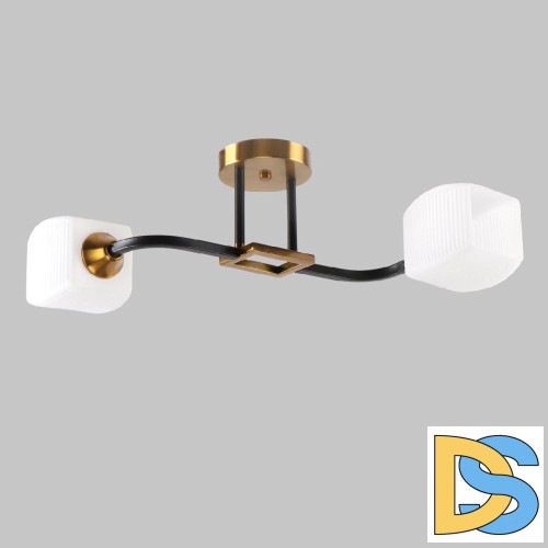 Потолочный светильник IMEX MD.52009-2-S-BK+GAB