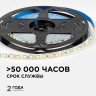 Светодиодная лента Apeyron 12В 2835 9,6Вт/м 6500К 7Лм/чип 5м IP20 LSE-258