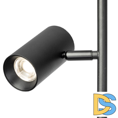 Торшер Citilux Twin CL809011N