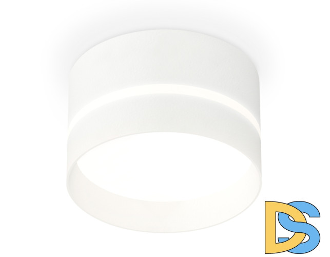 Потолочный светильник Ambrella Light Techno Spot XS8101020 (C8101, N8461)