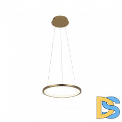 Подвесной светодиодный светильник Loft IT Ring 10014S