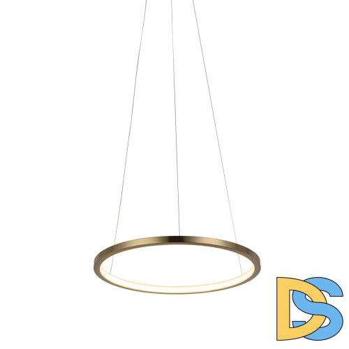 Подвесной светодиодный светильник Loft IT Ring 10014S