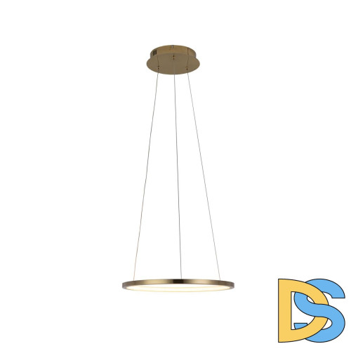 Подвесной светодиодный светильник Loft IT Ring 10014S