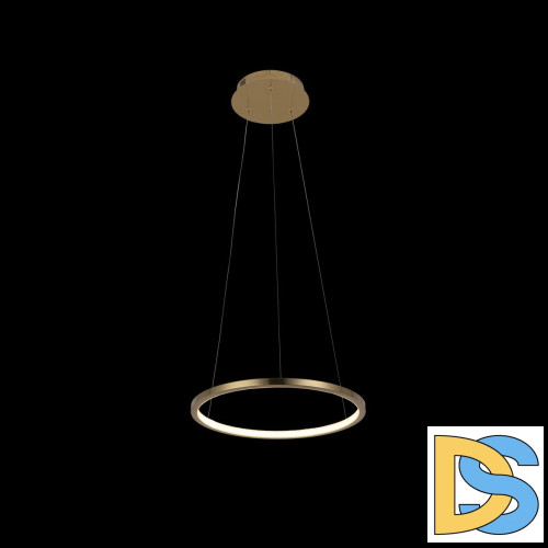 Подвесной светодиодный светильник Loft IT Ring 10014S