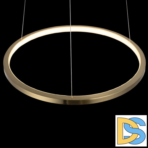 Подвесной светодиодный светильник Loft IT Ring 10014S