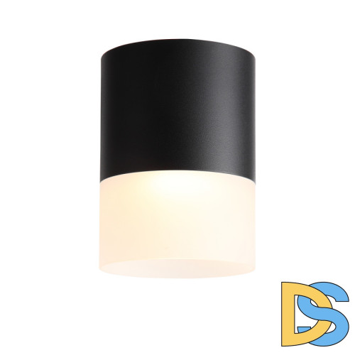 Накладной светильник ST Luce ST100.402.15