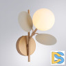Бра Arte Lamp Peacock A1369AP-1GY