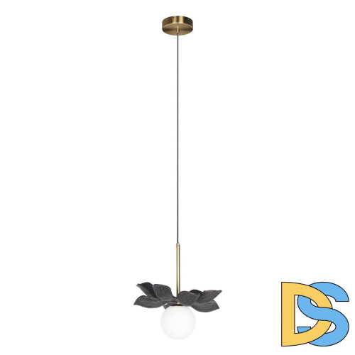 Подвесной светильник Loft IT Monro 10213/B Black