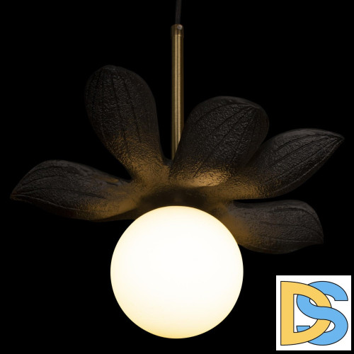 Подвесной светильник Loft IT Monro 10213/B Black