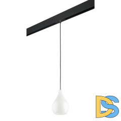 Трековый светильник Lightstar Pentola PRO803030 (803030+595007)