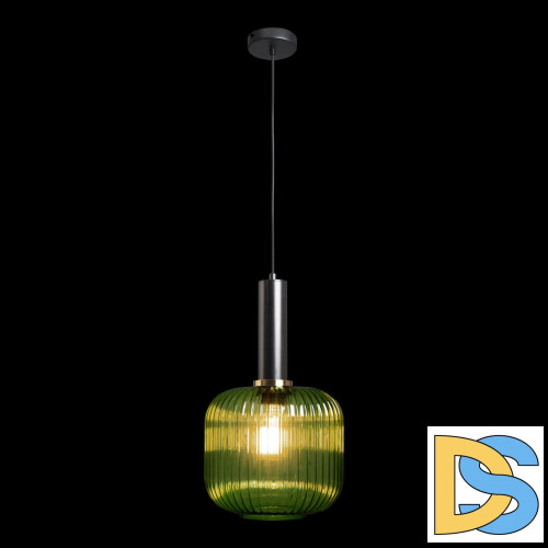 Подвесной светильник Loft IT IRIS 2072-B+BL