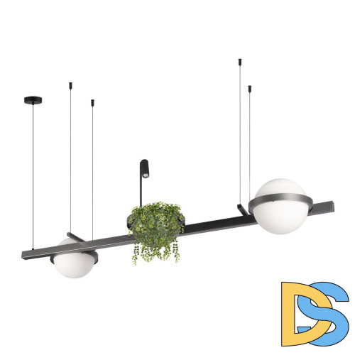 Подвесная люстра Loft IT Jardin 10121/D Dark grey