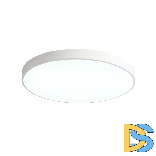 Потолочный светильник Zortes Tortty ZRS.02564.120