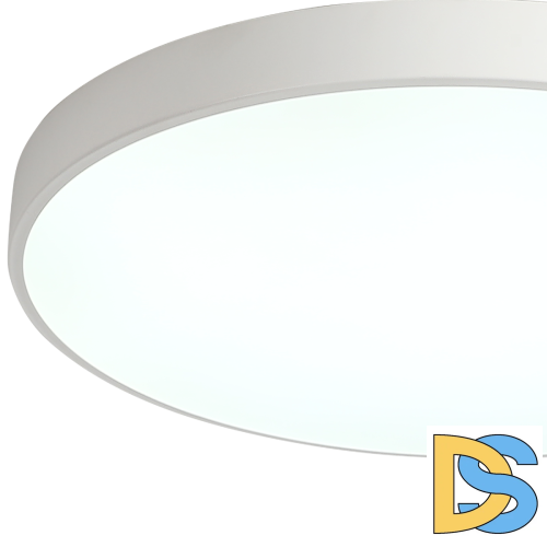 Потолочный светильник Zortes Tortty ZRS.02564.120