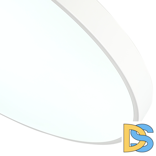 Потолочный светильник Zortes Tortty ZRS.02564.120