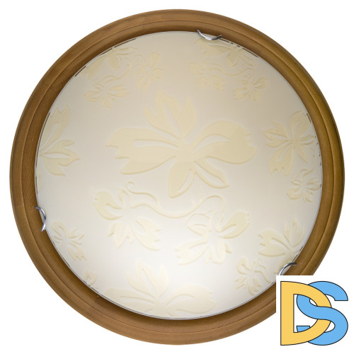 Настенно-потолочный светодиодный светильник Toplight Jane TL9640Y-00OA