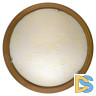 Настенно-потолочный светодиодный светильник Toplight Jane TL9640Y-00OA