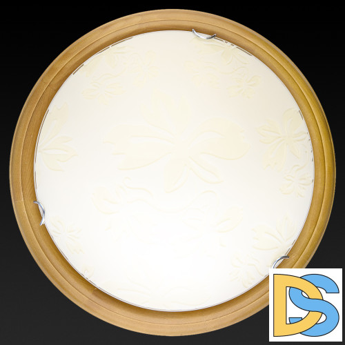 Настенно-потолочный светодиодный светильник Toplight Jane TL9640Y-00OA
