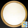 Настенно-потолочный светодиодный светильник Toplight Jane TL9640Y-00OA