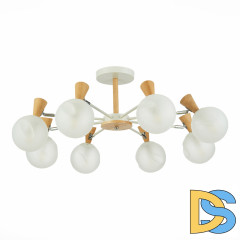 Потолочная люстра Evoluce Catania SLE220702-08