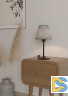 Настольная лампа Eglo Alsager 43986