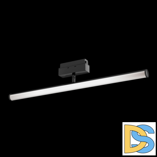 Трековый светильник Maytoni Lark TR026-2-10B3K