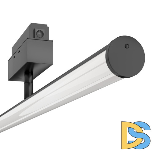 Трековый светильник Maytoni Lark TR026-2-10B3K