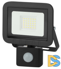 Прожектор светодиодный ЭРА LPR-041-2-65K-030 Б0043586