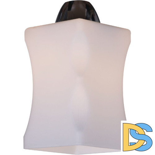 Потолочная люстра Reluce 06595-0.3-06