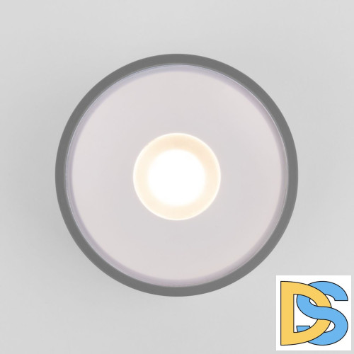 Уличный потолочный светильник Elektrostandard Light LED 4690389180149