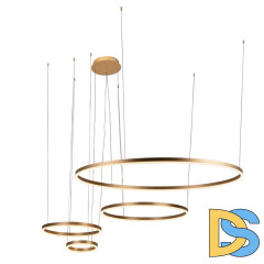 Подвесной светильник Loft IT Ring 10017/4M