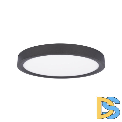 Потолочный светильник Loft IT Extraslim 10227/24 Black