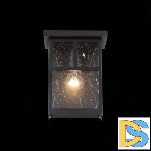 Уличный настенный светильник ST Luce Glazgo SL079.401.01