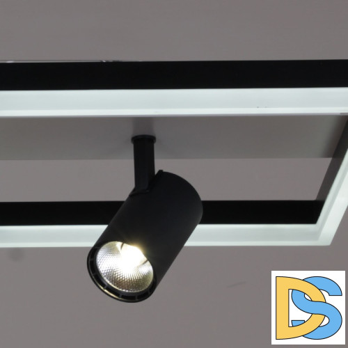 Потолочная люстра Reluce 02457-0.3-02