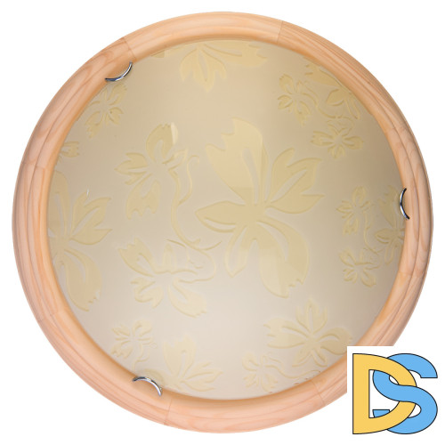 Настенно-потолочный светодиодный светильник Toplight Jane TL9640Y-00PN