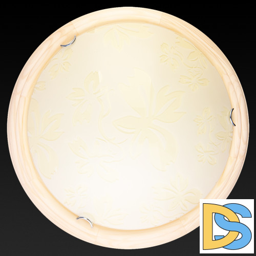 Настенно-потолочный светодиодный светильник Toplight Jane TL9640Y-00PN