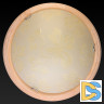 Настенно-потолочный светодиодный светильник Toplight Jane TL9640Y-00PN