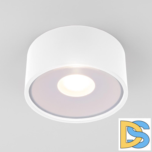 Уличный потолочный светильник Elektrostandard Light LED 4690389180132