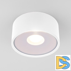 Уличный потолочный светильник Elektrostandard Light LED 4690389180132