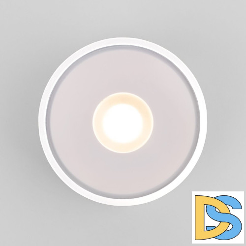 Уличный потолочный светильник Elektrostandard Light LED 4690389180132