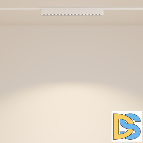 Трековый магнитный светильник Maytoni Points TR082-1-18W3K-M-W